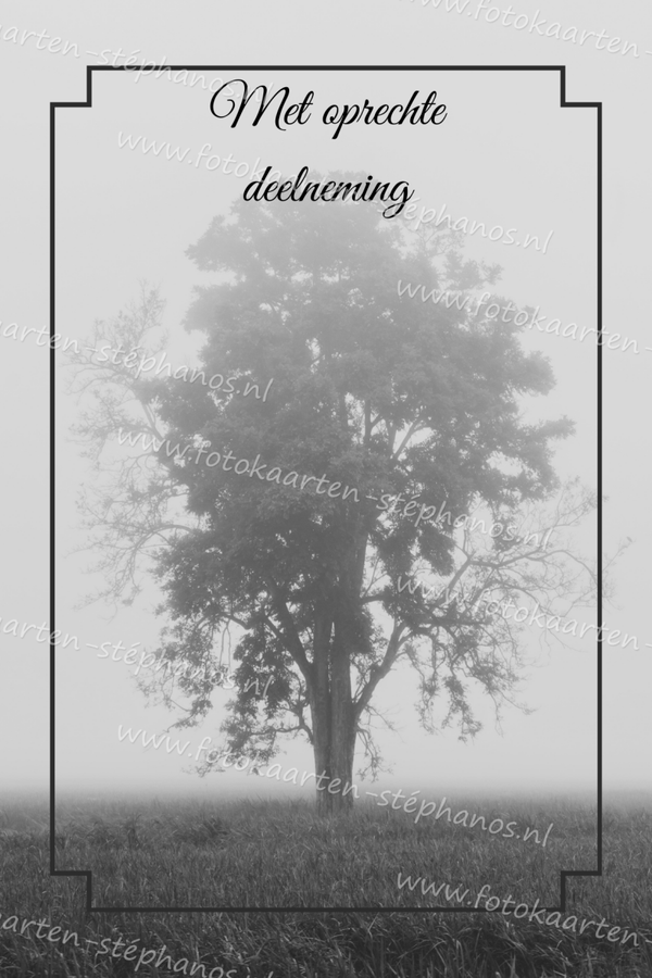 Medeleven - Oprechte deelneming 12