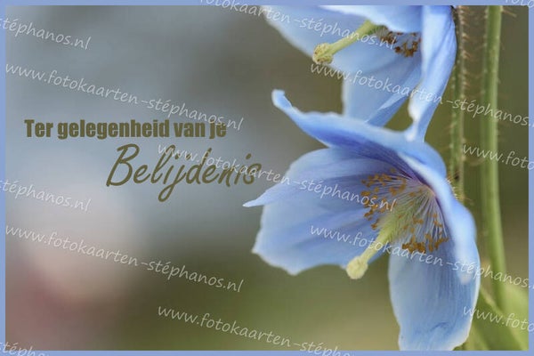 Diversen - Belijdenis 13