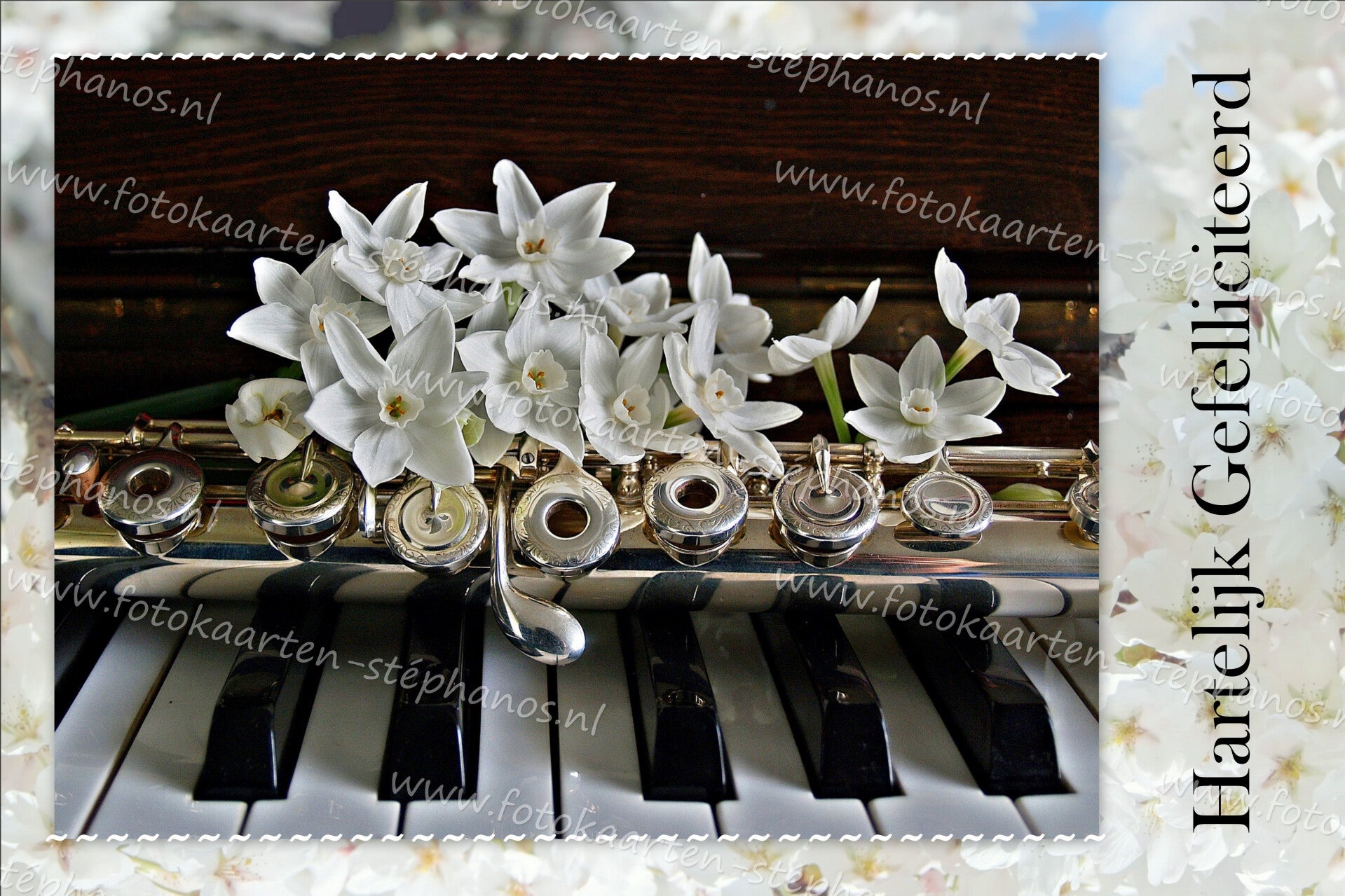 Diversen - Muziekinstrumenten 13