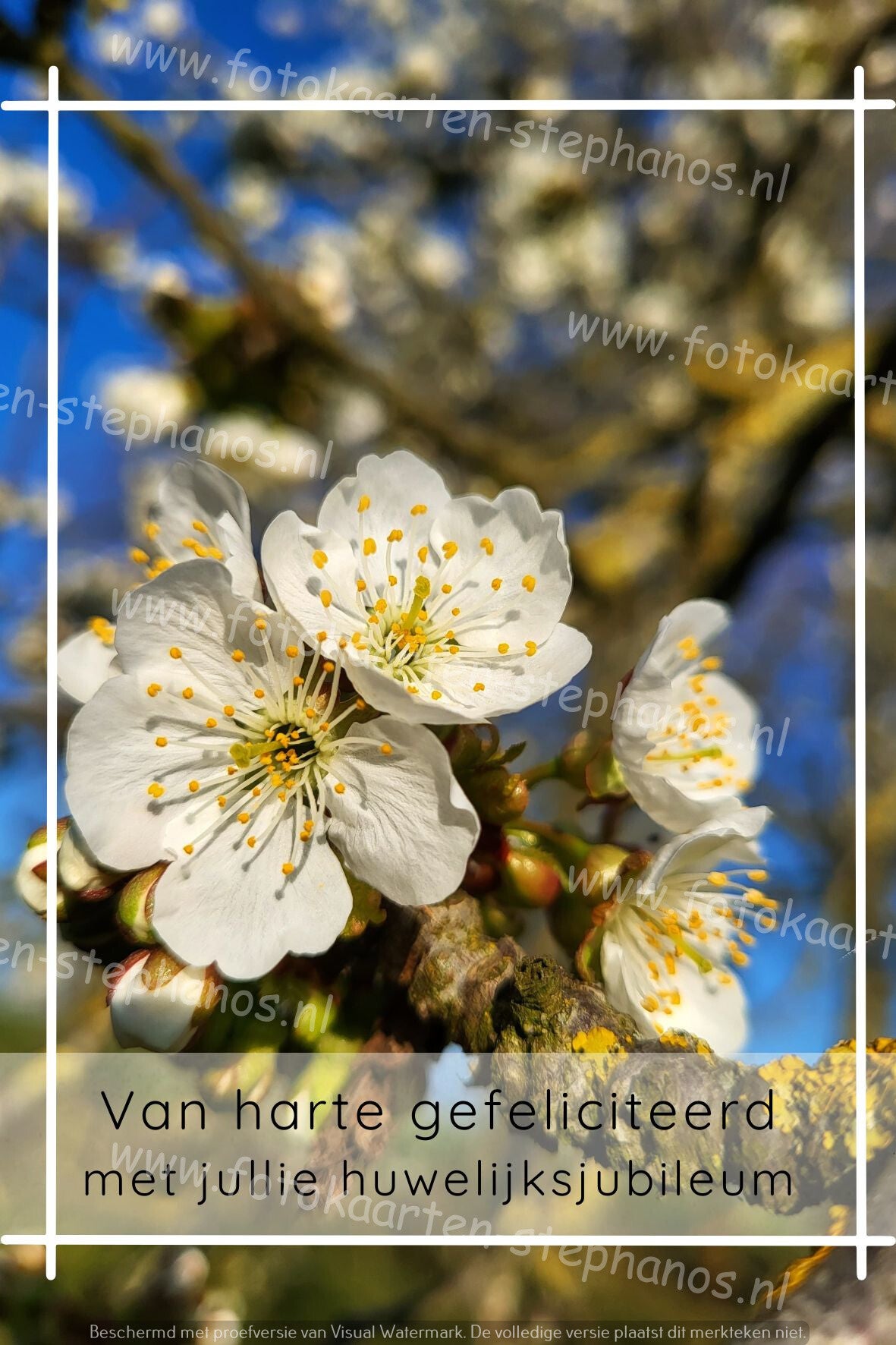 Huwelijk & Jubileum - Huwelijksjubileum 13