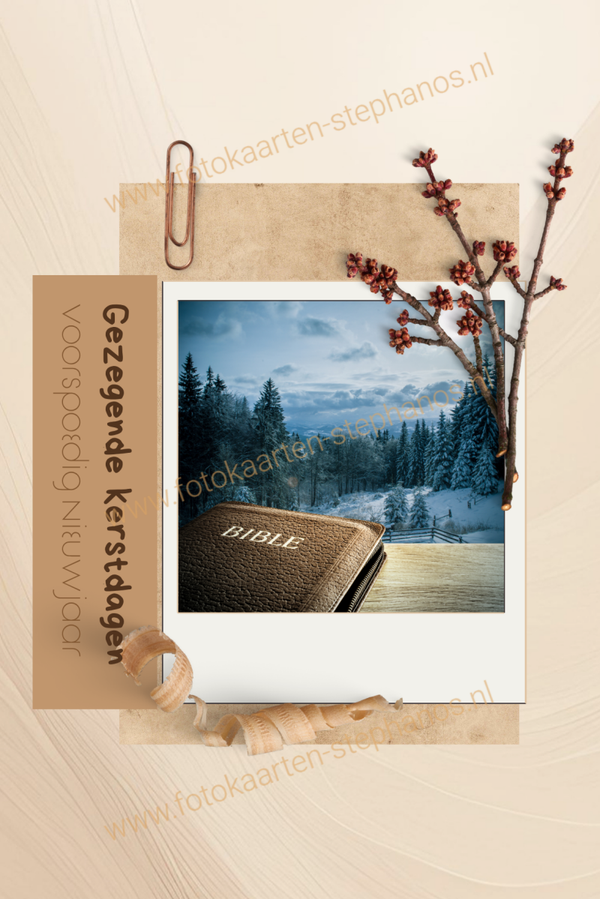 Kerst & Winter - Gezegende Kerstdagen 13