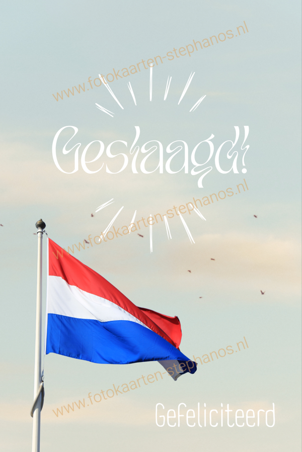 Diversen - Geslaagd 13