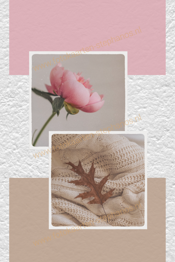 Kerst & Winter - Blanco Winter 13