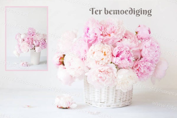 Medeleven - Ter bemoediging 13