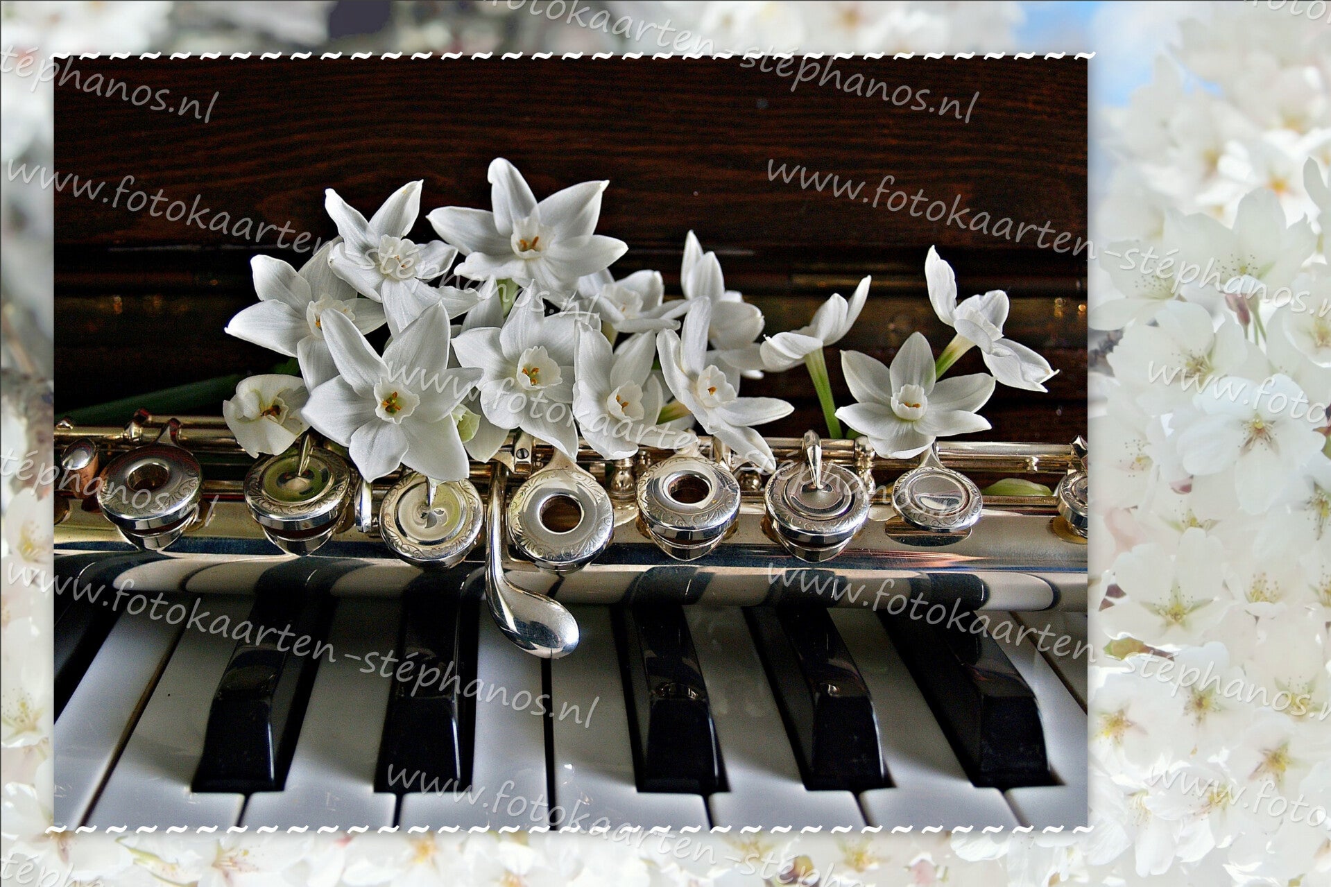 Diversen - Muziekinstrumenten 14