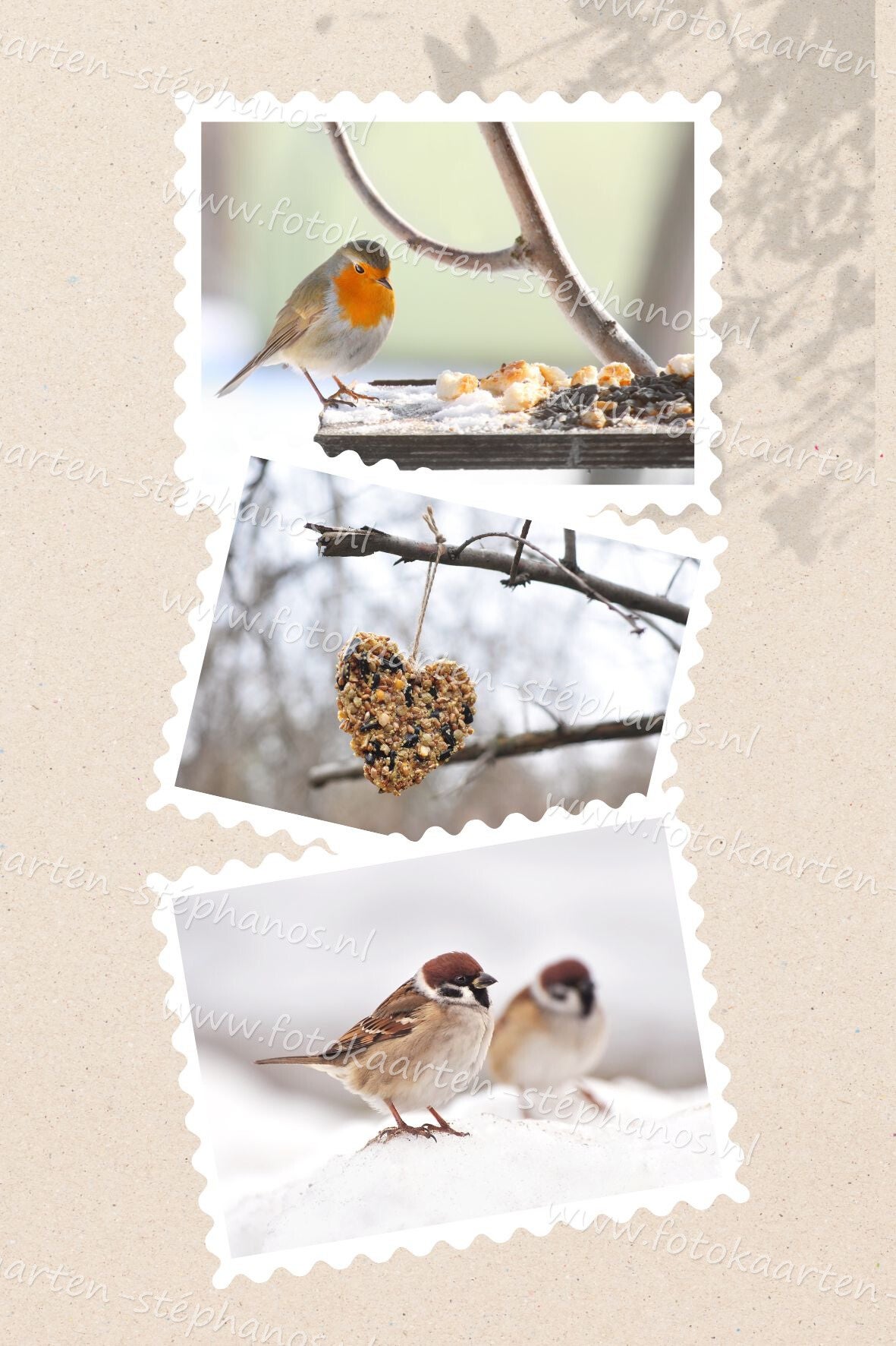 Kerst & Winter - Blanco Winter 14