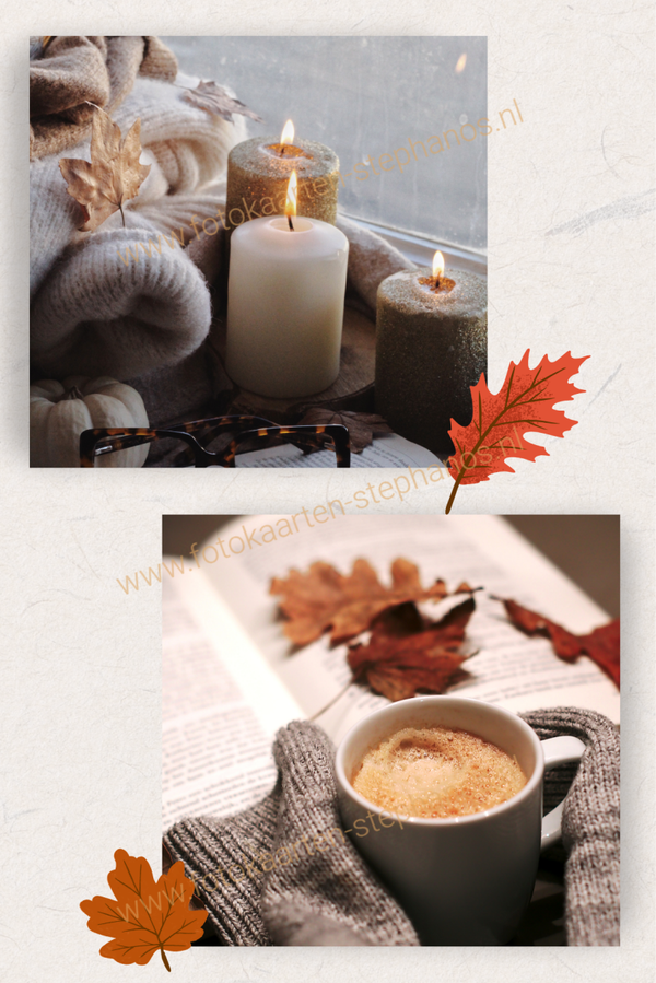 Kerst & Winter - Blanco Winter 14