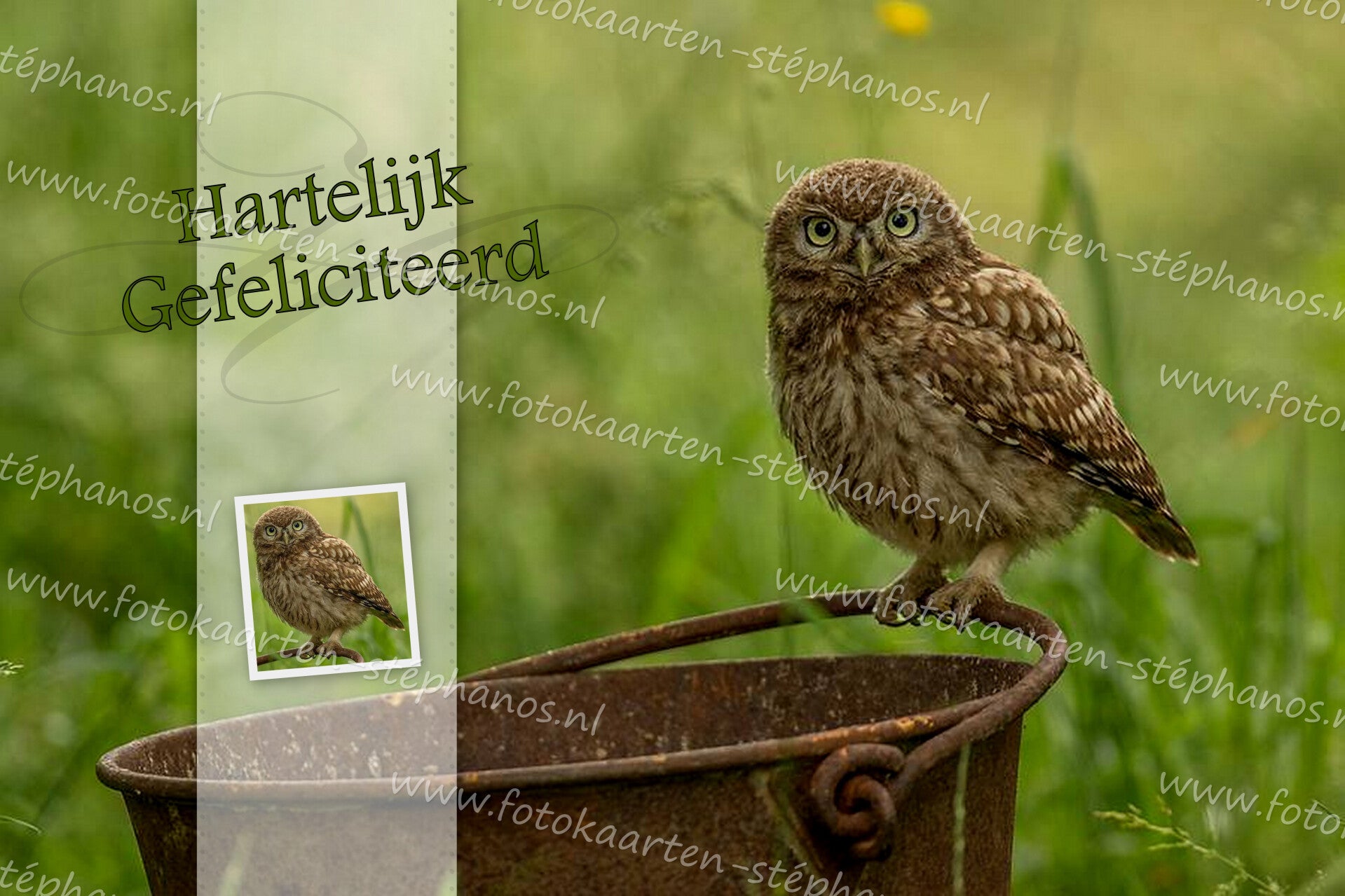 Felicitatie - Man 16