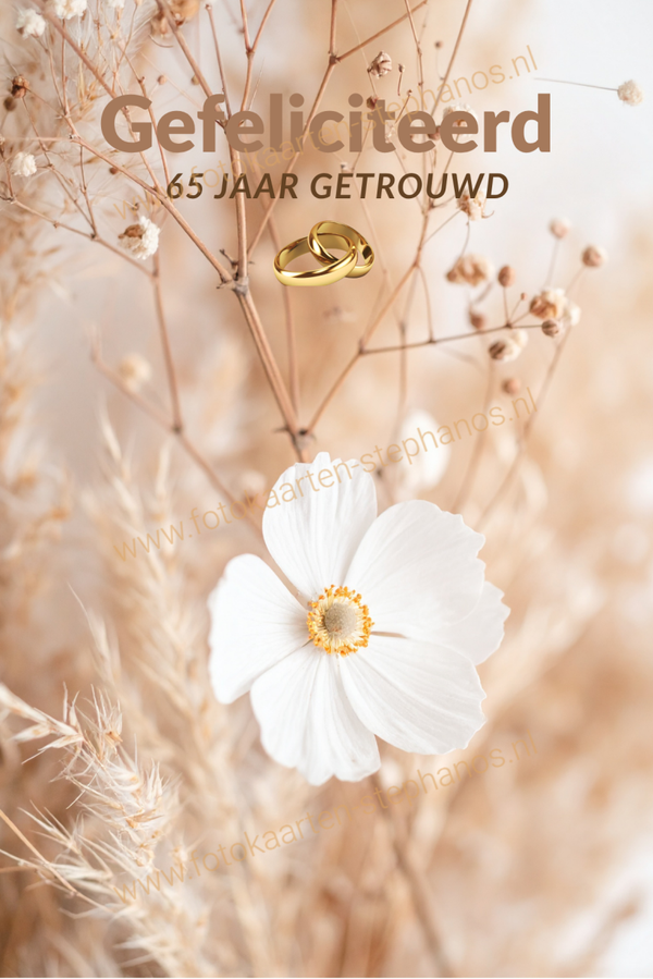Huwelijk & jubileum - 65 jaar getrouwd 15