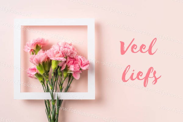 Medeleven - We denken aan je 15