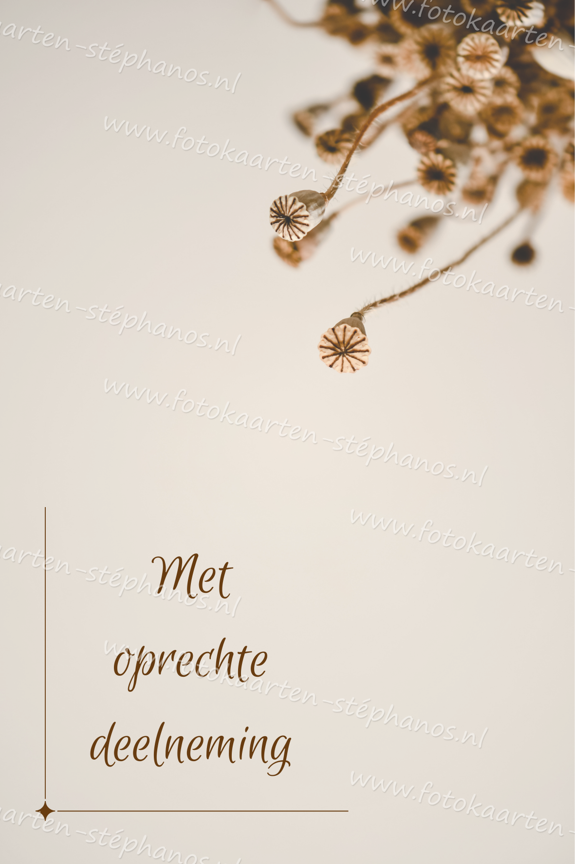 Medeleven - Oprechte Deelneming 15