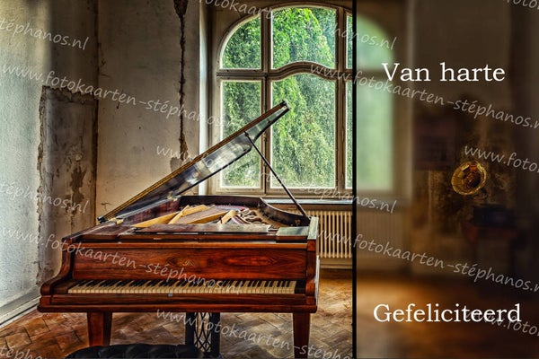 Diversen - Muziekinstrumenten 15