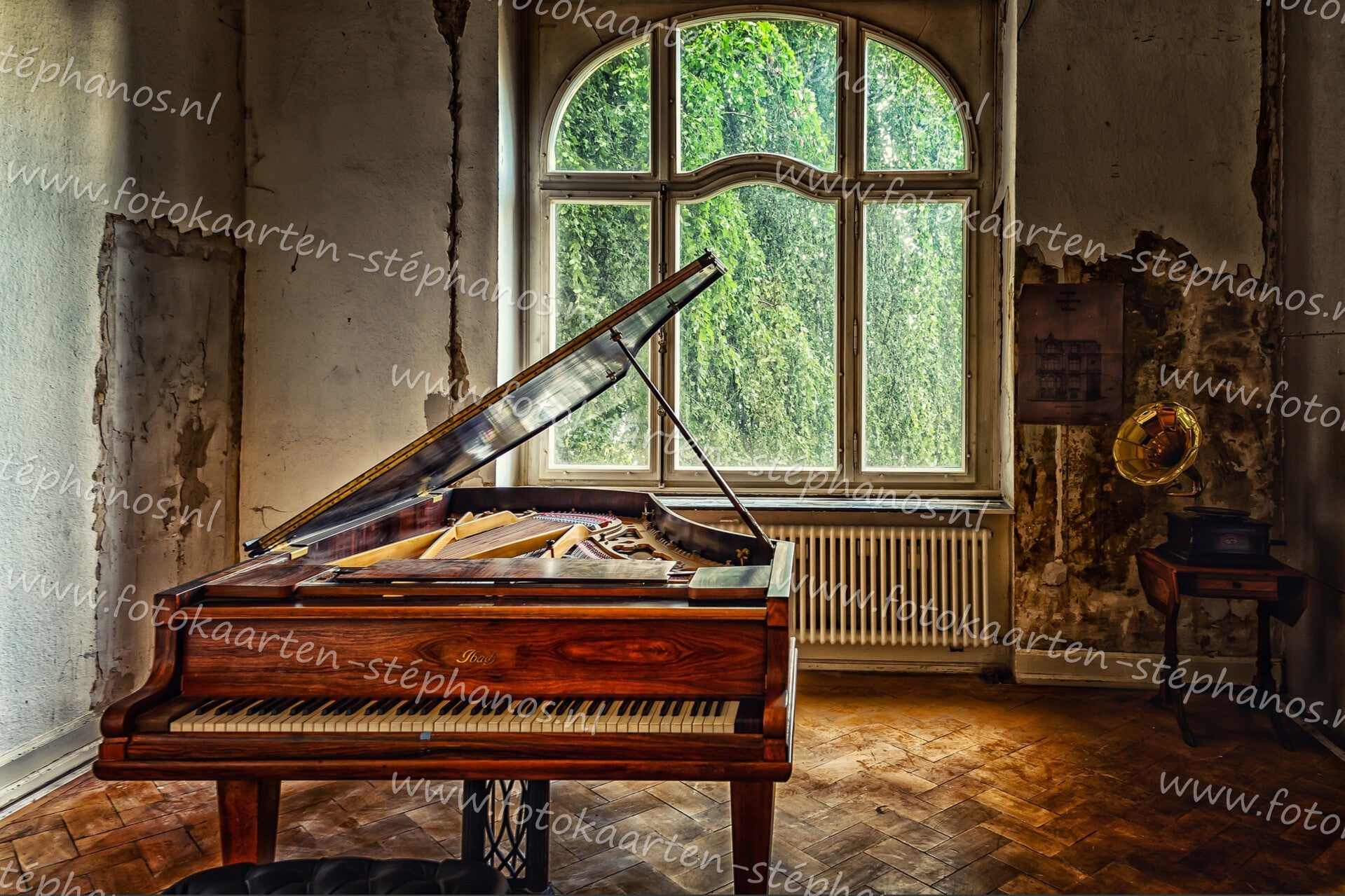 Diversen - Muziekinstrumenten 16