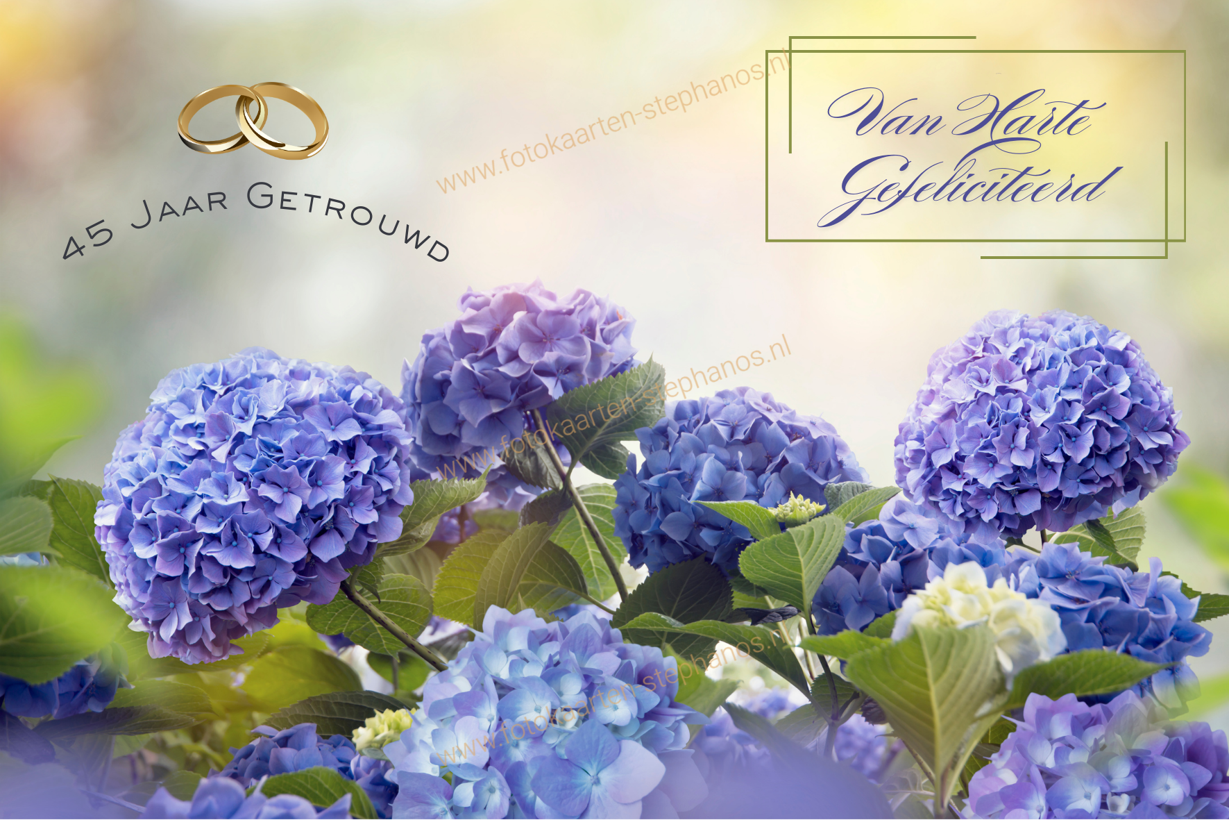 Huwelijk & Jubileum - 45 jaar getrouwd 16