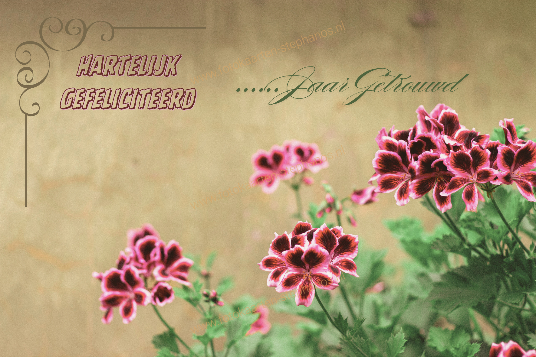 Huwelijk & Jubileum - Huwelijksjubileum 16