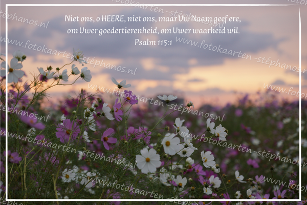 Bijbelteksten & Gedichten 16