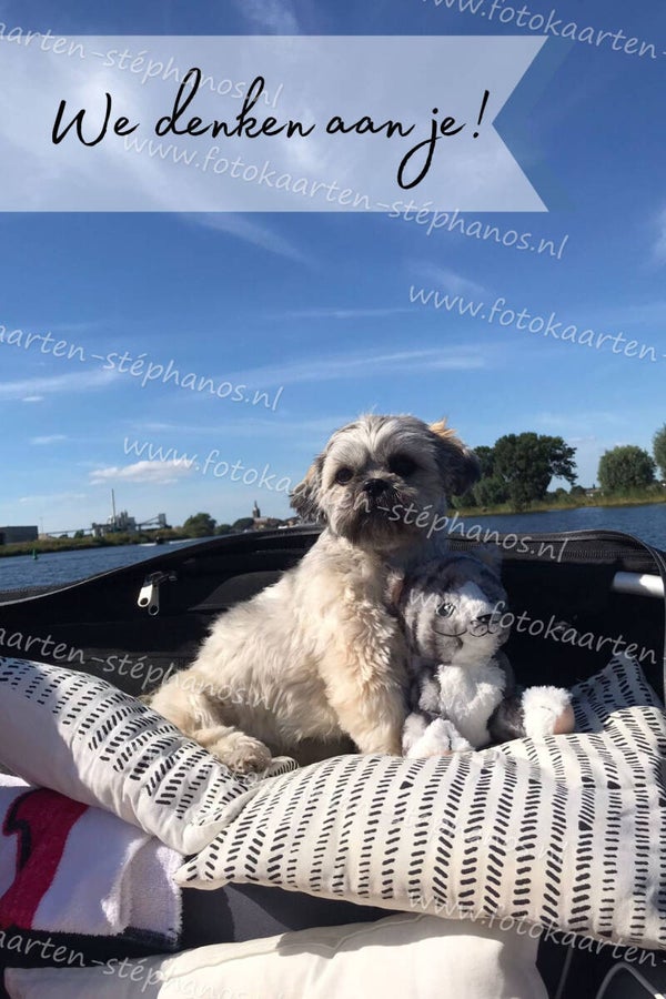 Kinderen - Beterschap 01