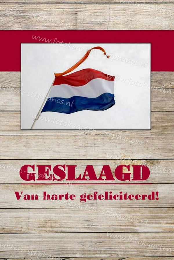 Diversen - Geslaagd 17