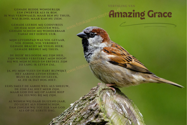 Bijbelteksten & Gedichten 17