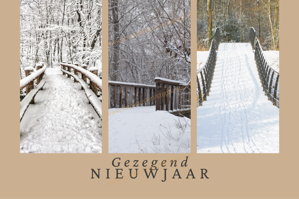 Kerst & Nieuwjaar - Gezegend Nieuwjaar 17