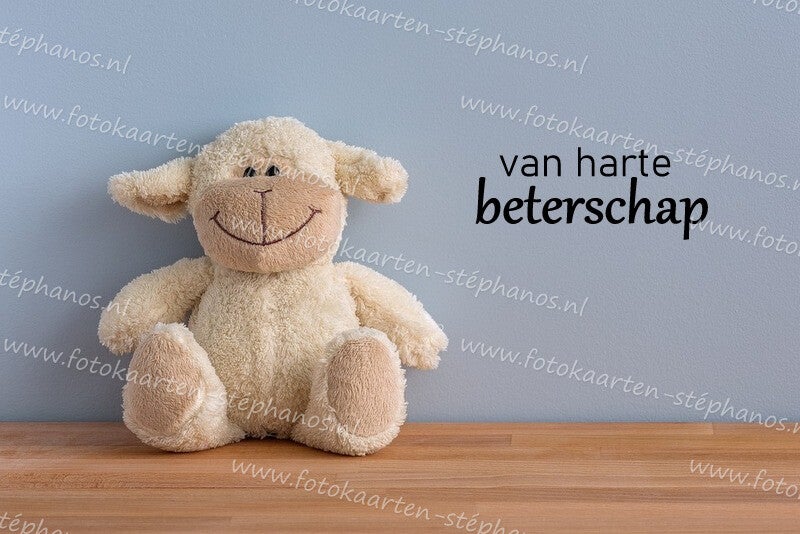 Medeleven - Beterschap 17