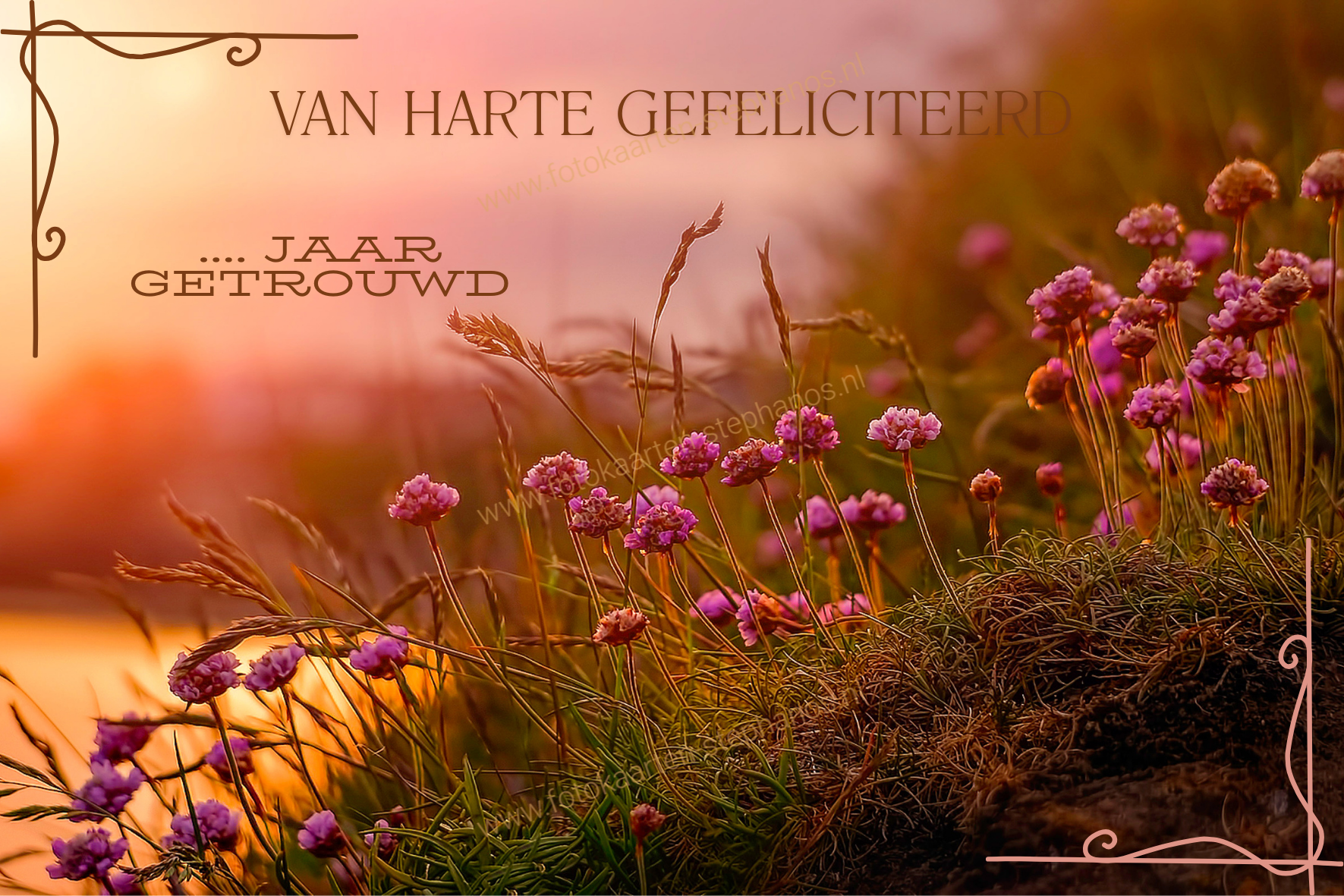 Huwelijk & Jubileum - Huwelijksjubileum 17