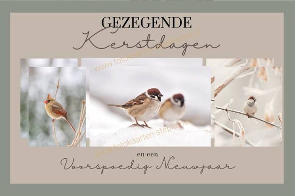 Kerst & Winter - Gezegende Kerstdagen 17