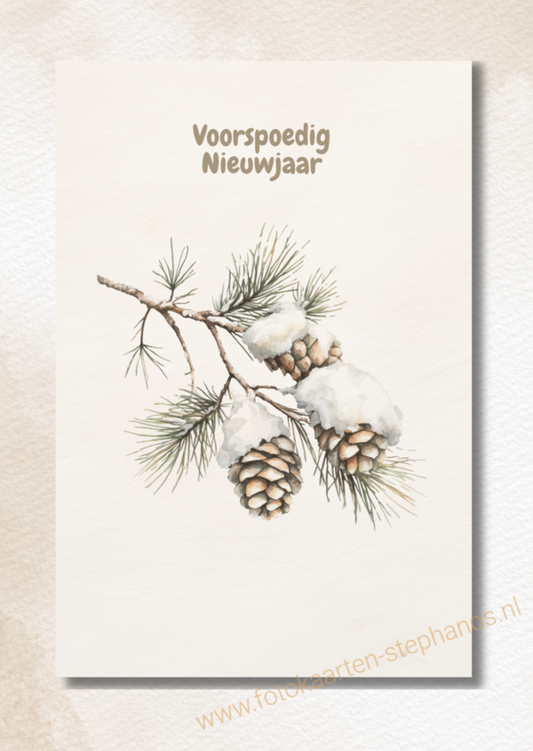 Kerst & Nieuwjaar - Luxe kerstkaarten 18