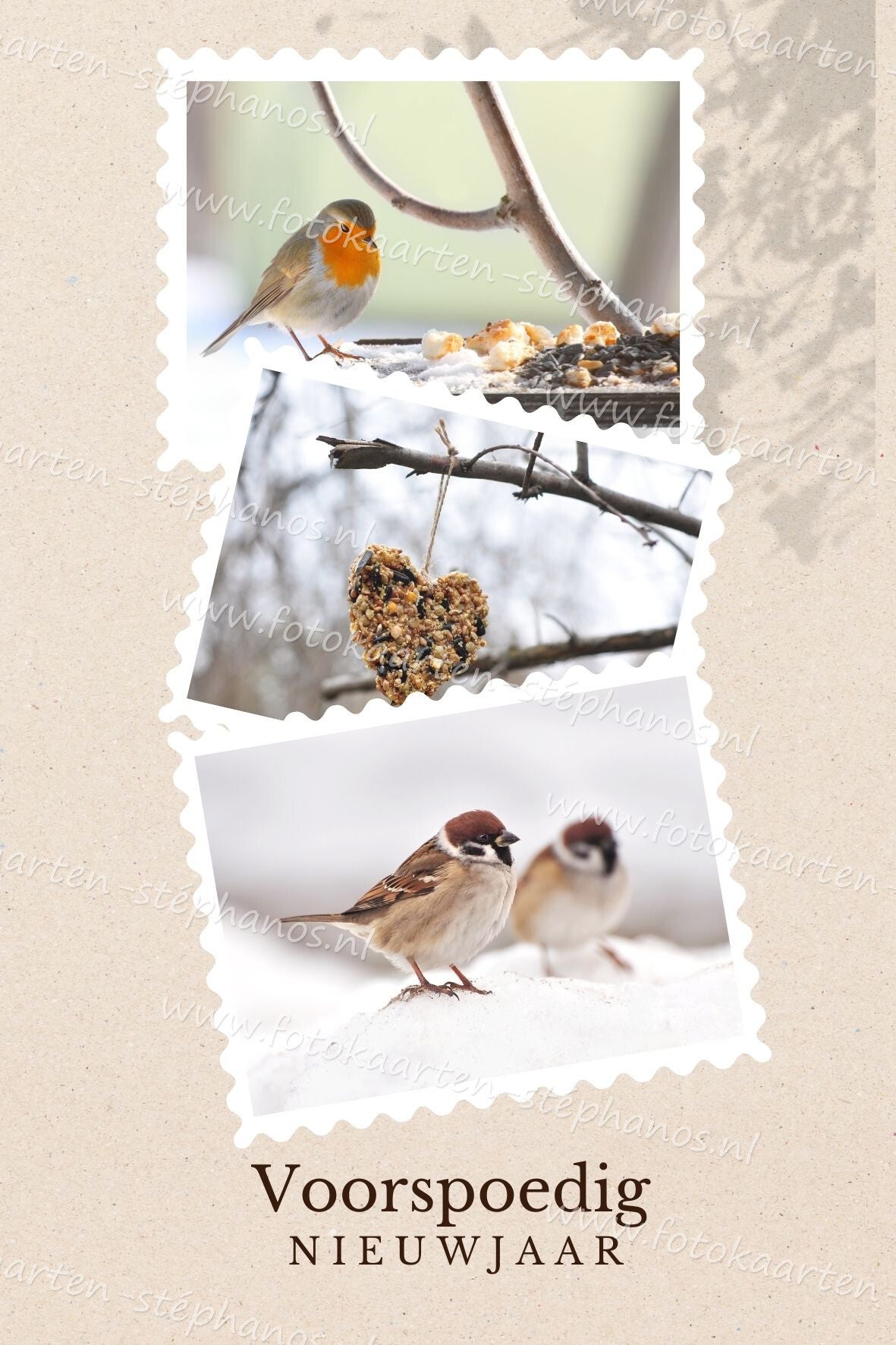 Kerst & Nieuwjaar - Voorspoedig Nieuwjaar 01