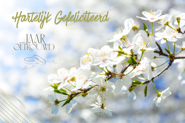 Huwelijk & Jubileum - Huwelijksjubileum 19