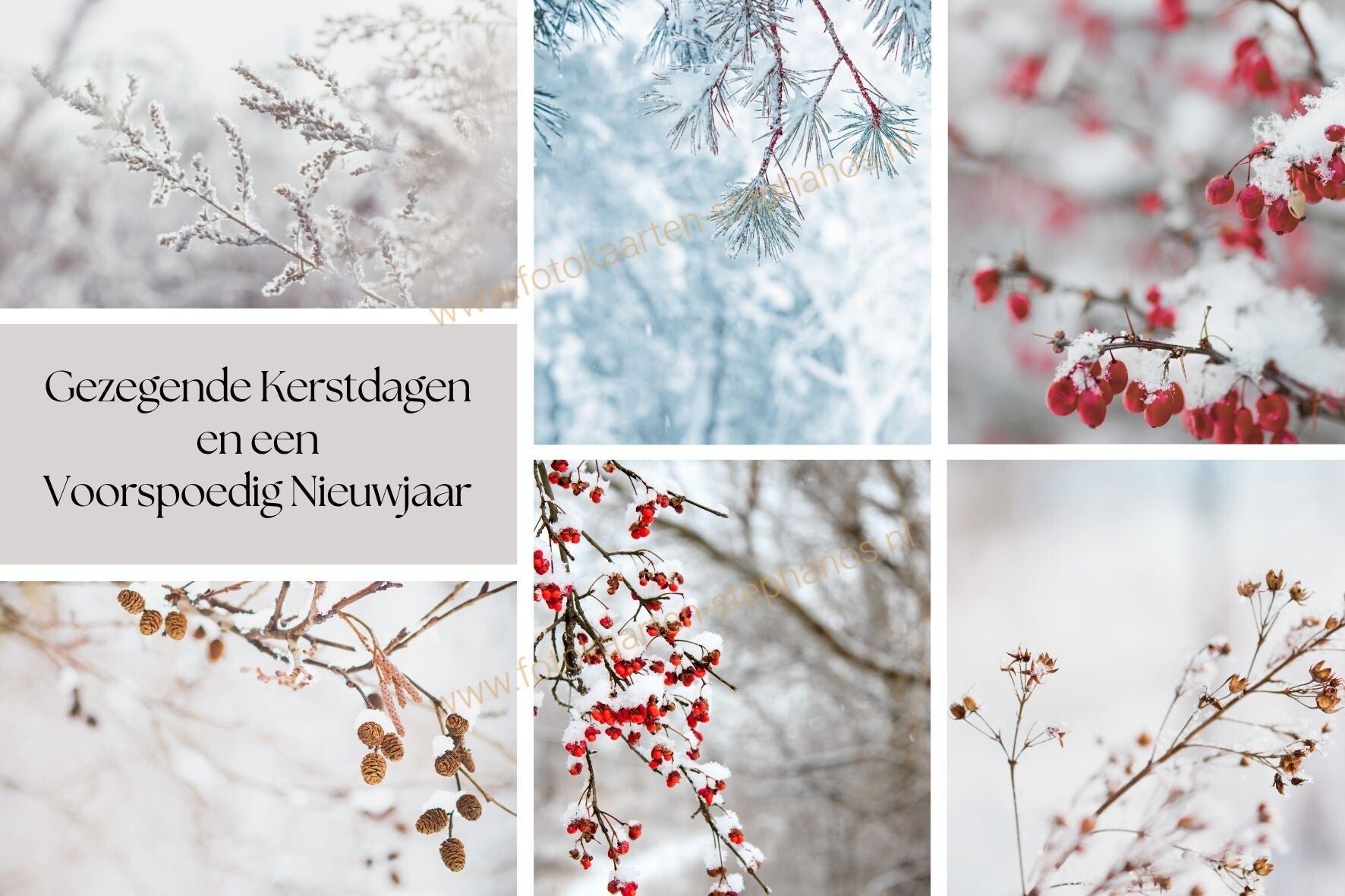 Kerst & Winter - Gezegende Kerstdagen 19