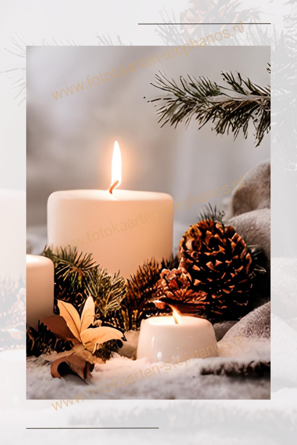 Kerst & Winter - Blanco Winter 19
