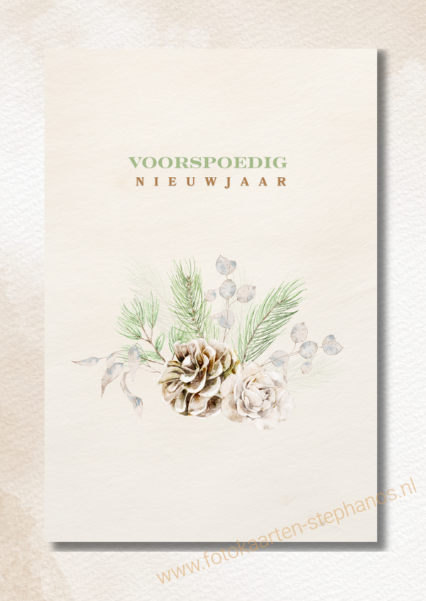 Kerst & Nieuwjaar - Luxe kerstkaarten 19