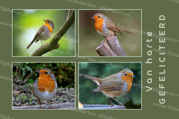 Felicitatie - Man 19