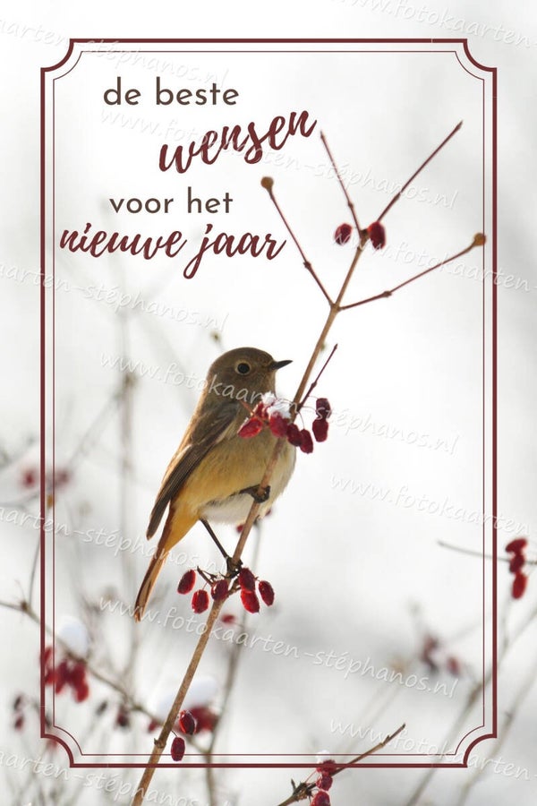 Kerst & Nieuwjaar - De beste wensen 01