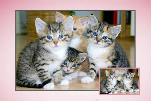 Kinderen - Blanco 02