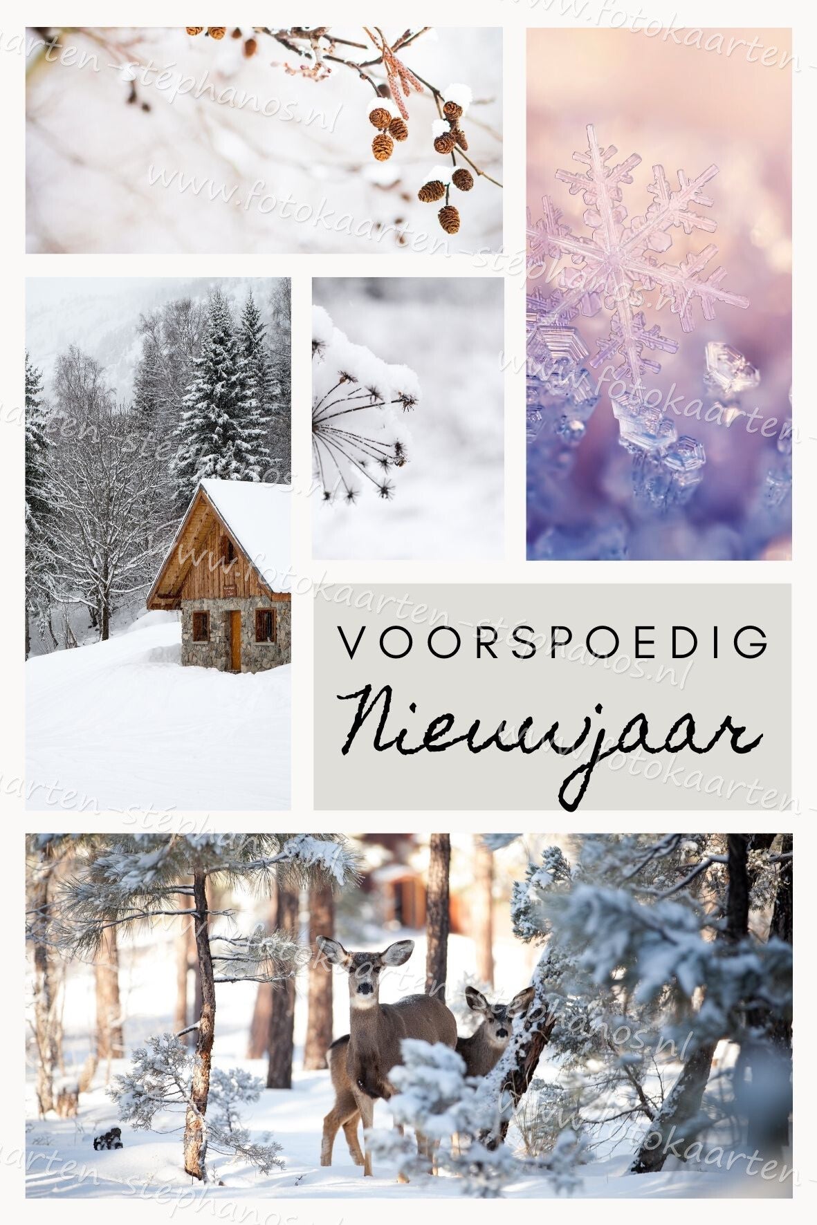 Kerst & Nieuwjaar - Voorspoedig Nieuwjaar 02