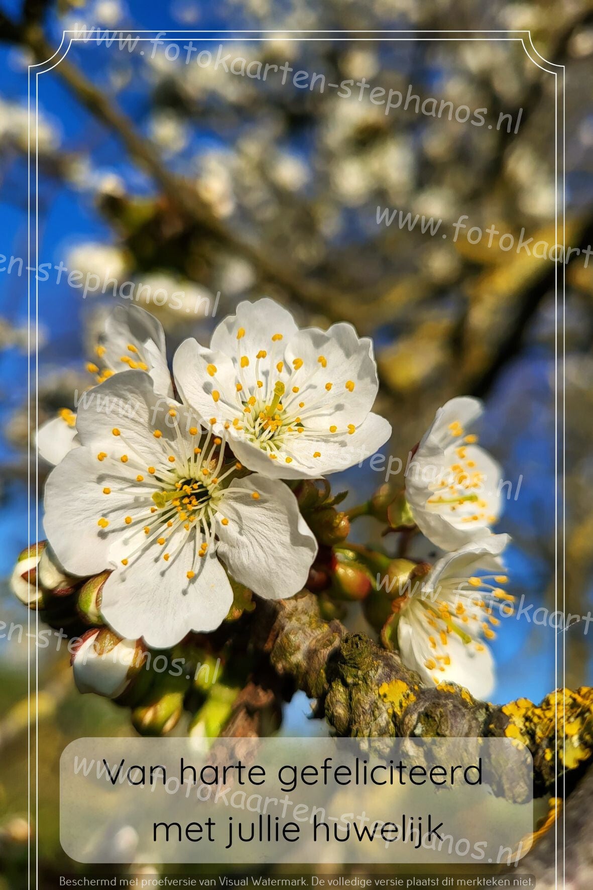 Huwelijk & Jubileum - Huwelijk 20