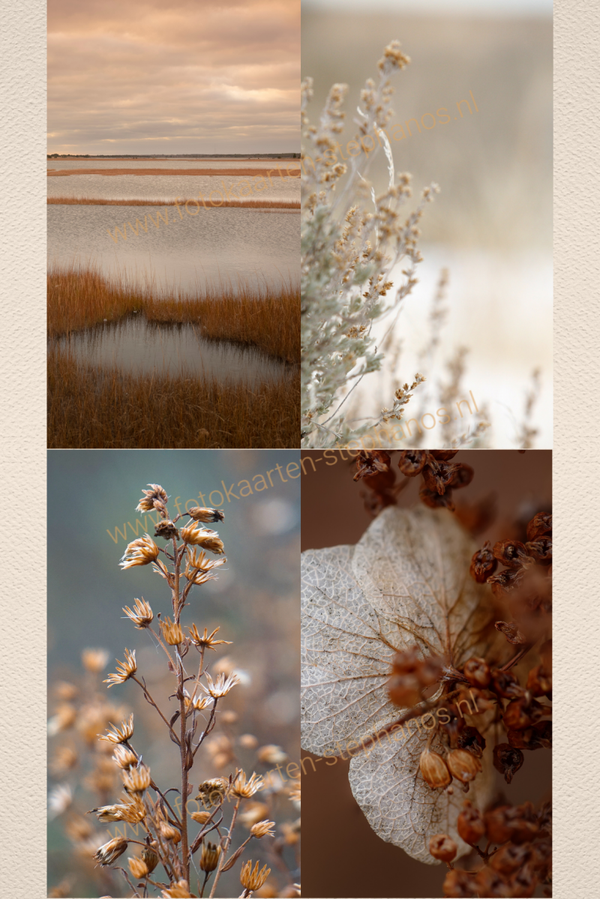 Kerst & Winter - Blanco Winter 20