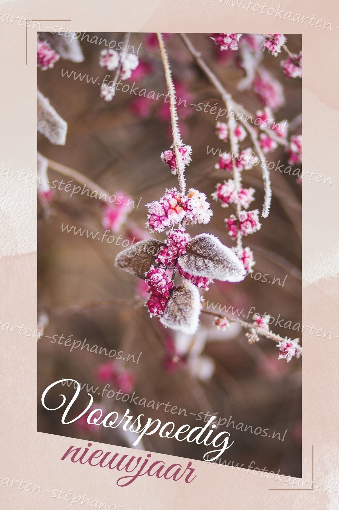 Kerst & Nieuwjaar - Voorspoedig Nieuwjaar 03