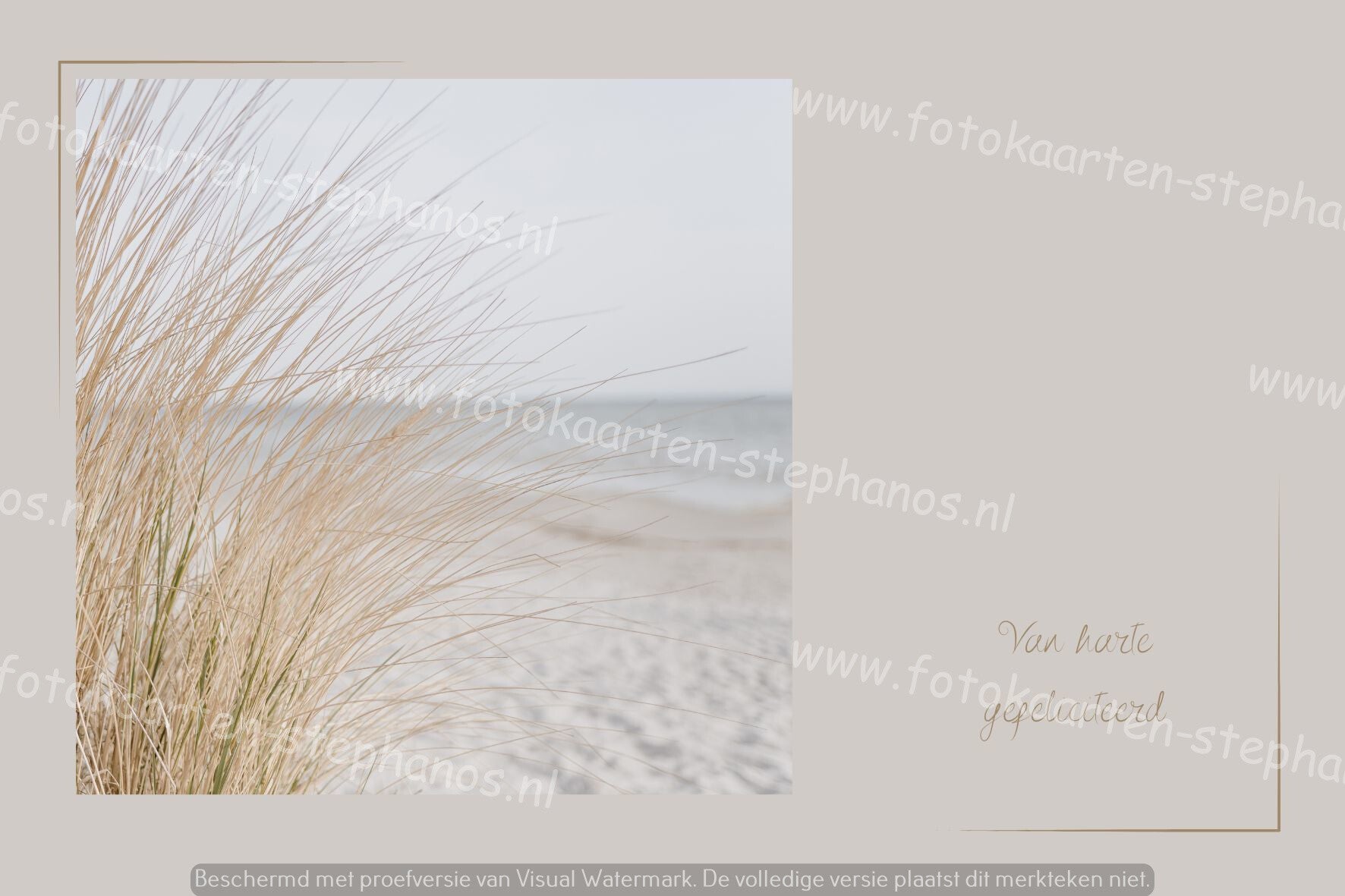 Felicitatie - Vrouw 21