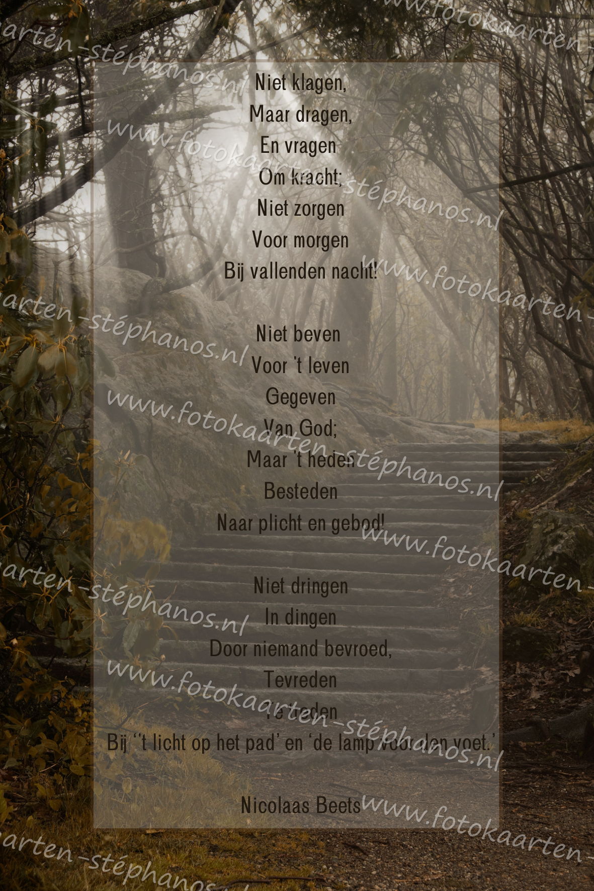 Bijbelteksten & Gedichten 21