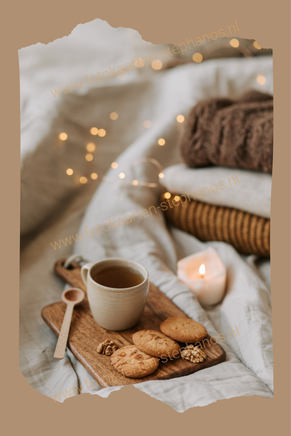 Kerst & Winter - Blanco Winter 21