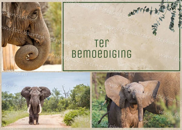 Medeleven - Ter Bemoediging 27