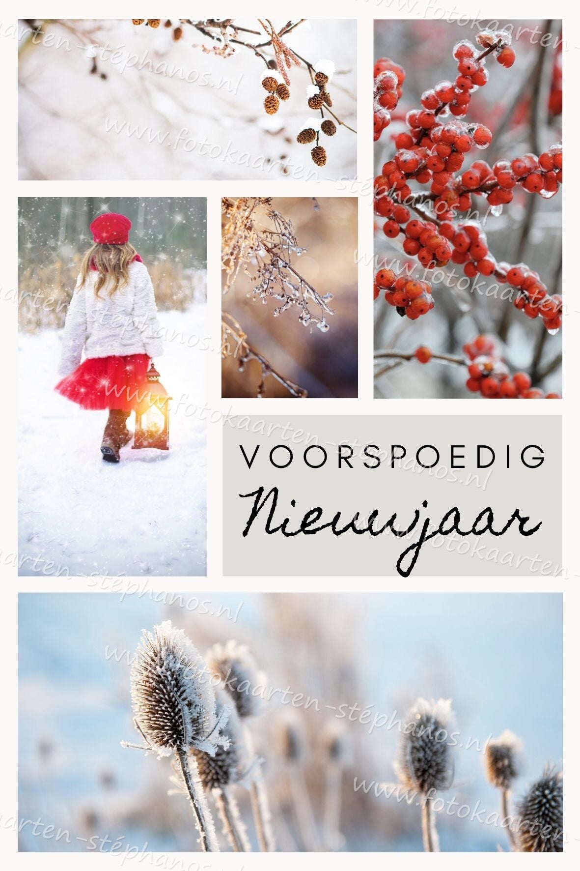 Kerst & Nieuwjaar - Voorspoedig Nieuwjaar 04