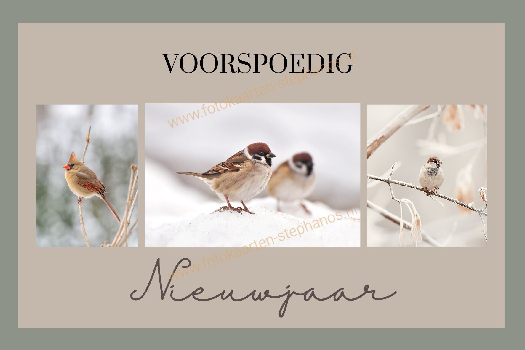 Kerst & Nieuwjaar - Voorspoedig Nieuwjaar 07