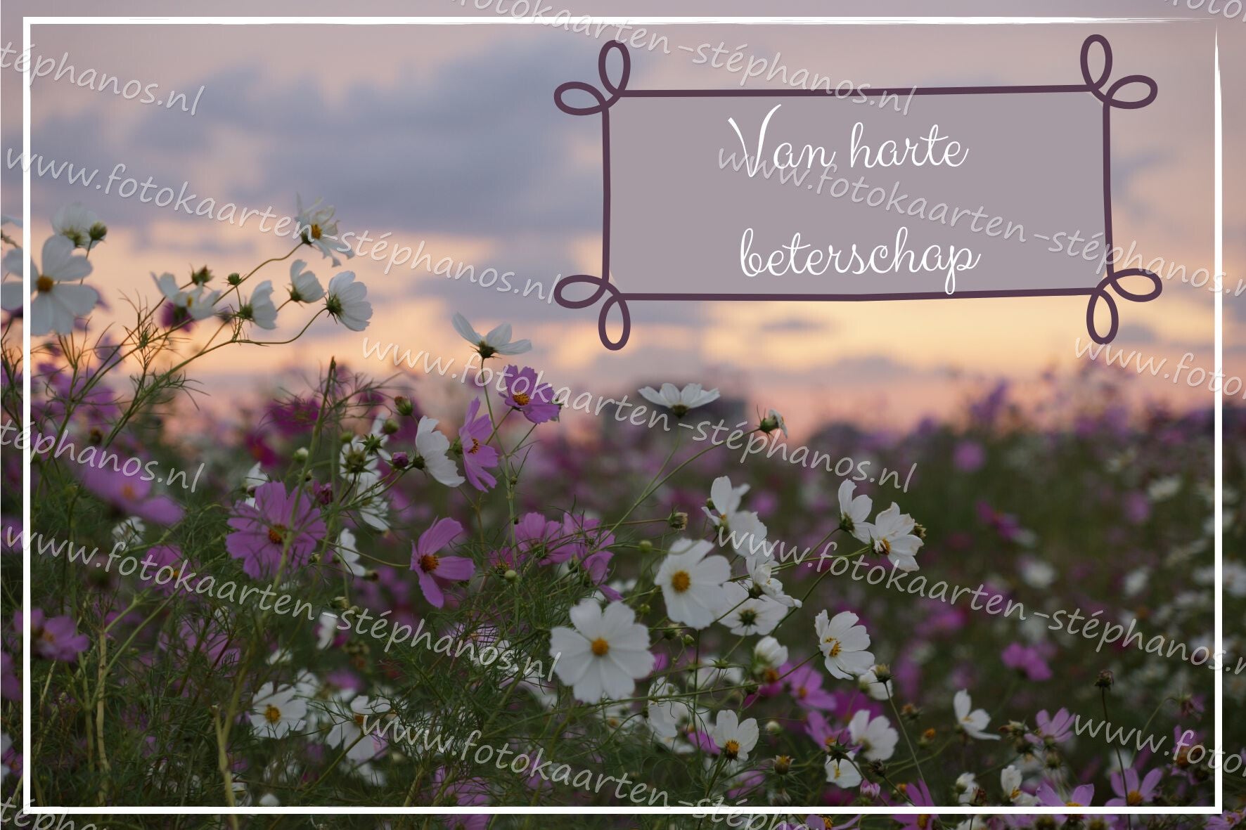 Medeleven - Beterschap 01