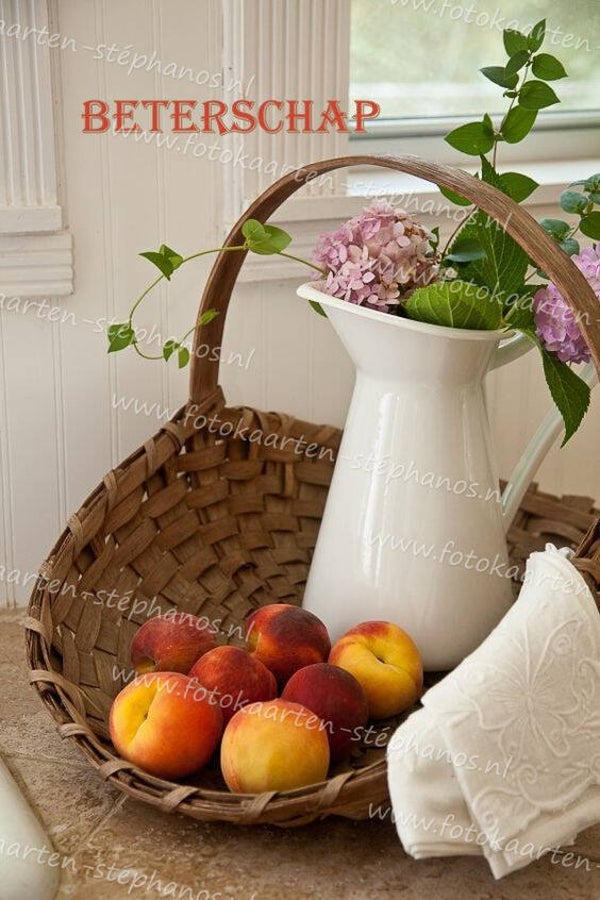 Medeleven - Beterschap 22