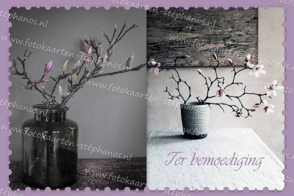 Medeleven - Ter bemoediging 23