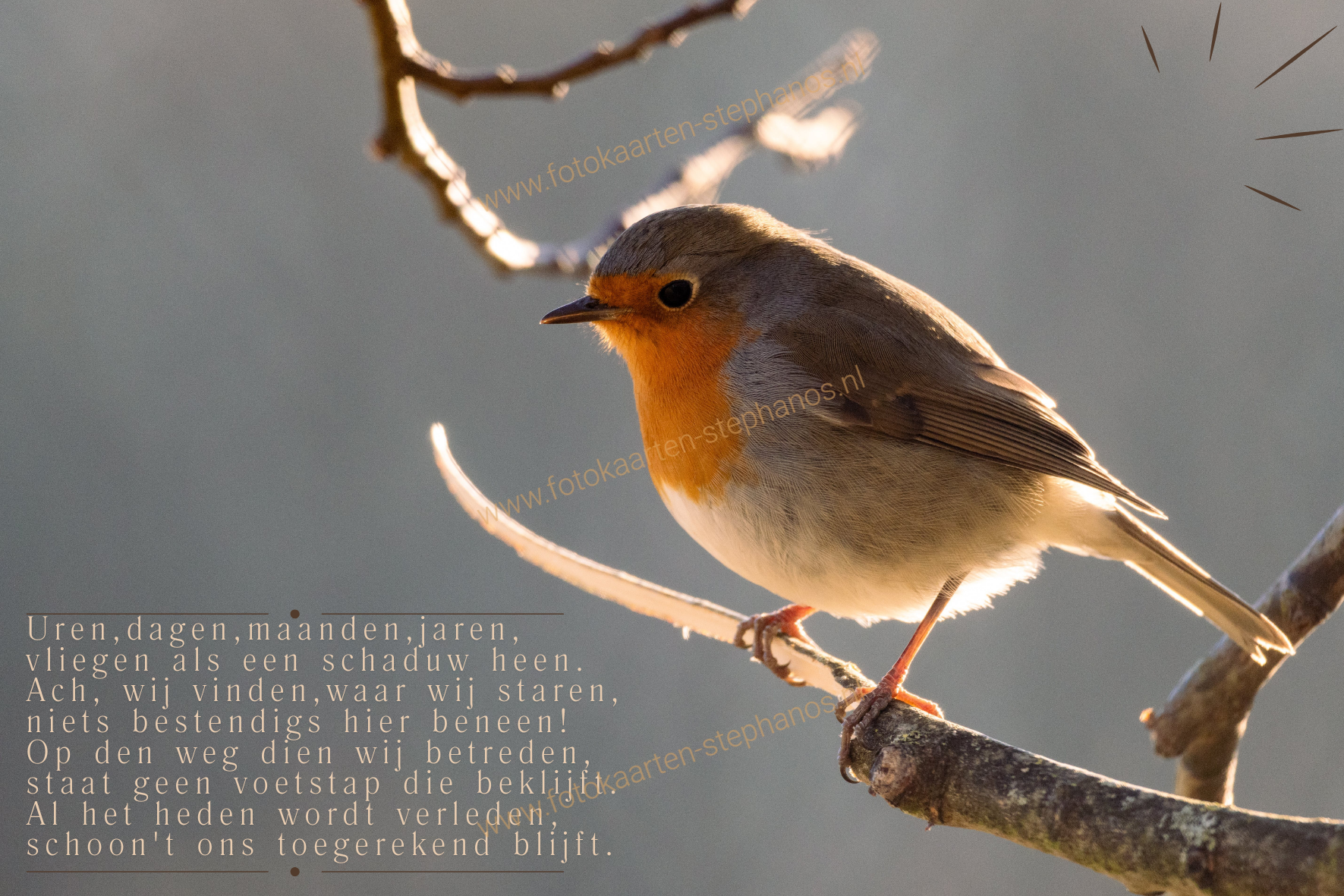 Bijbelteksten & Gedichten 23